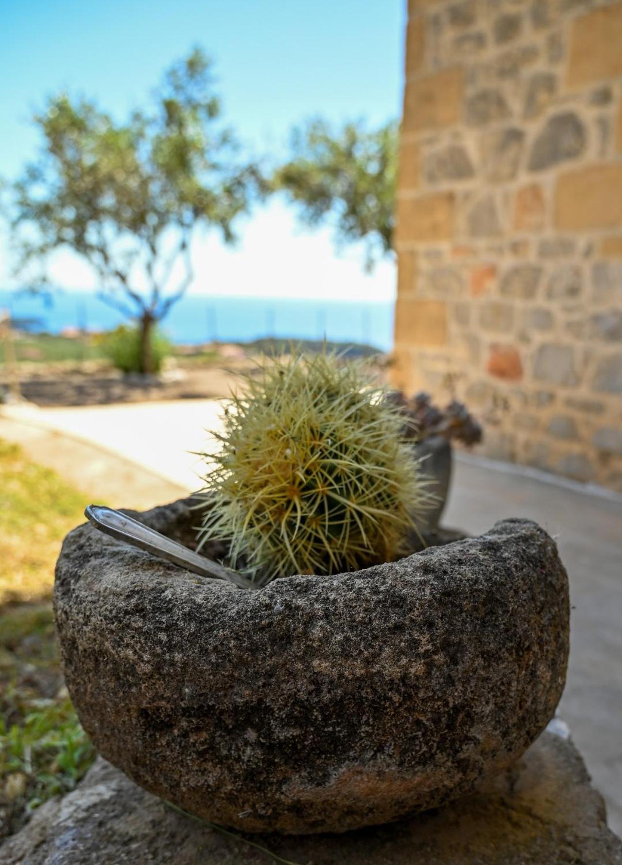 Athina'S Stone House In Kardamyli Βίλα Εξωτερικό φωτογραφία