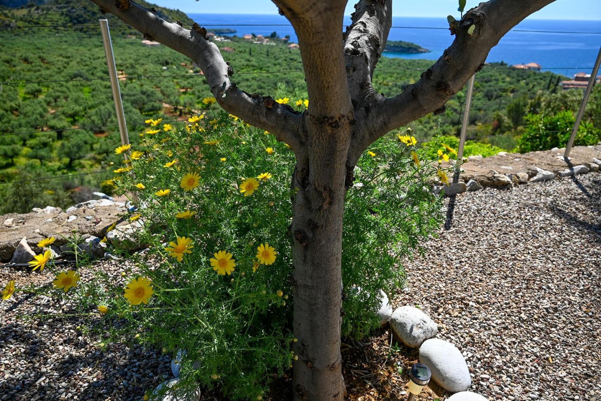 Athina'S Stone House In Kardamyli Βίλα Εξωτερικό φωτογραφία