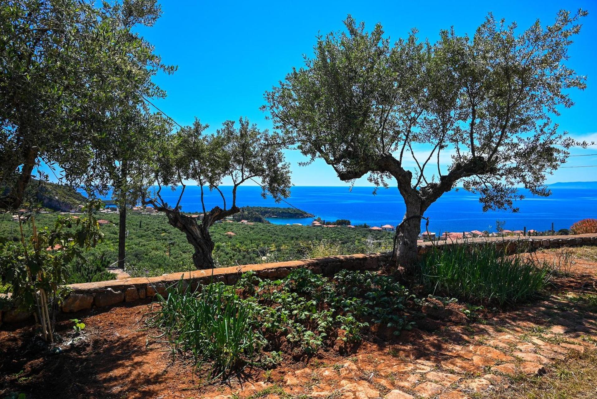 Athina'S Stone House In Kardamyli Βίλα Εξωτερικό φωτογραφία