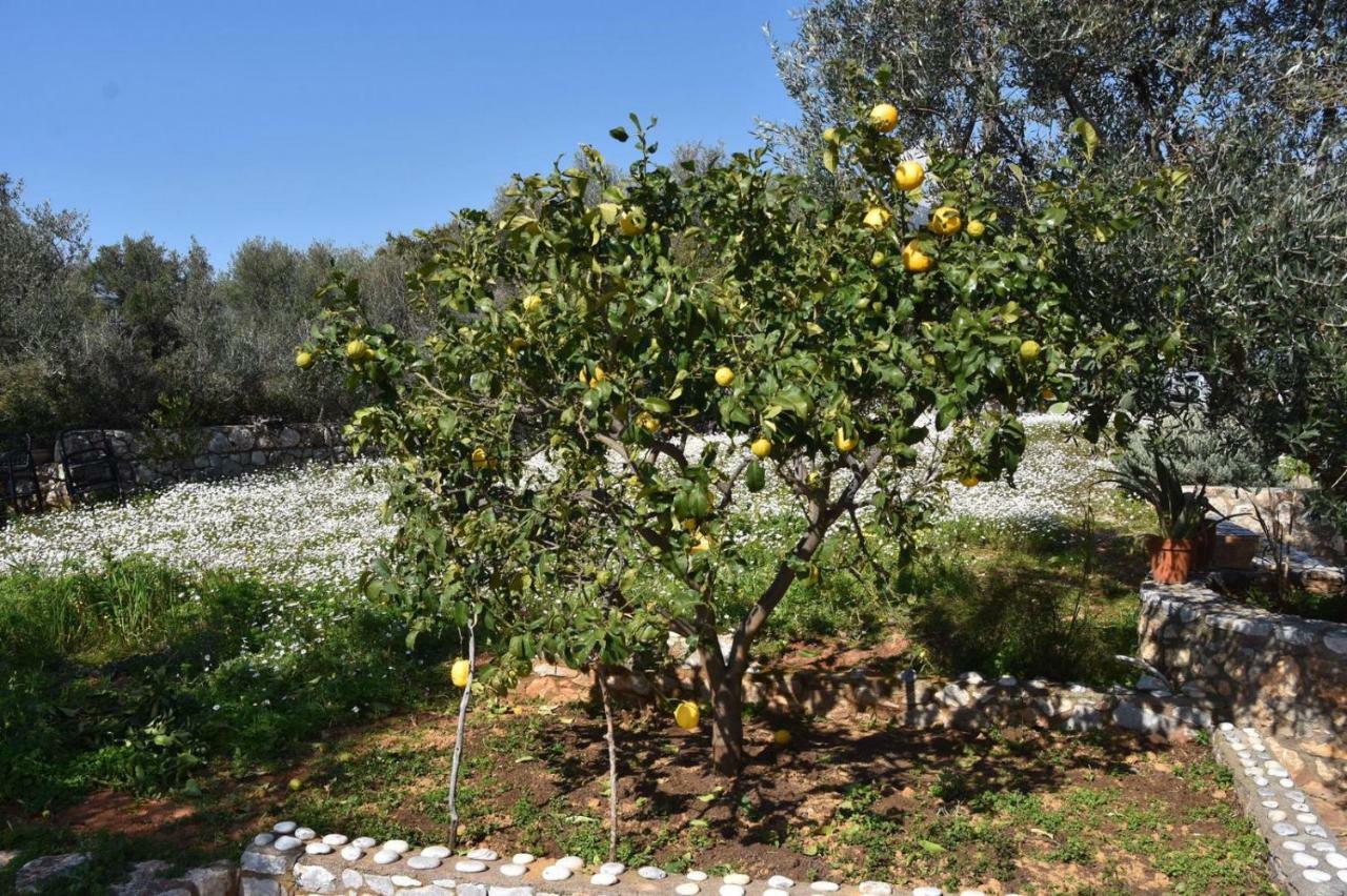 Athina'S Stone House In Kardamyli Βίλα Εξωτερικό φωτογραφία